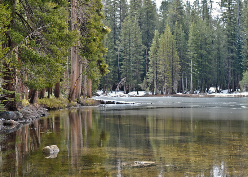 Siesta Lake