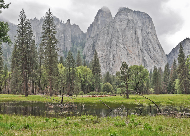 Cathedral Rocks Vista