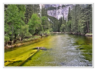 Yosemite_44 WEB.jpg
