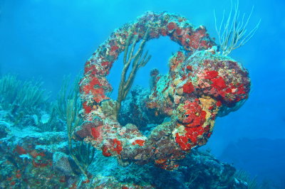 H74--Underwater St Maarten, Proselyte Reef-Wreck, anchor
