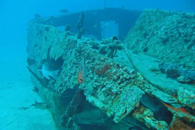 H85--Underwater St Maarten, The Bridge site wreck