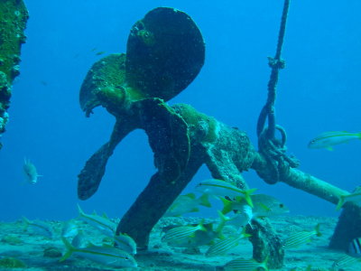 H88--Underwater St Maarten, Gregory Wreck propeller