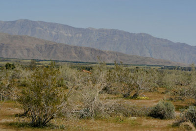 _MG_3771.JPG