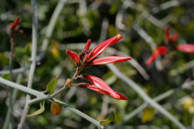 _MG_3777.JPG