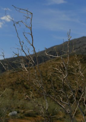 _MG_3782.JPG