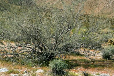 _MG_3788.JPG