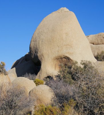 Joshua Tree, 2009