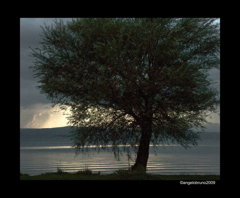 lake_bolsena