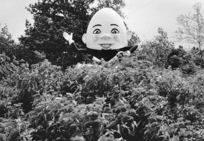 Humpty in the woods