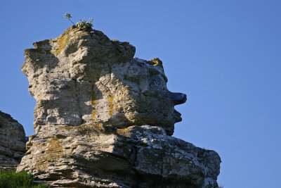 Hoburgsgubben.