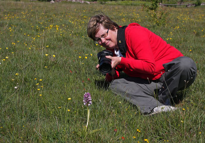 Orkideefotografen.