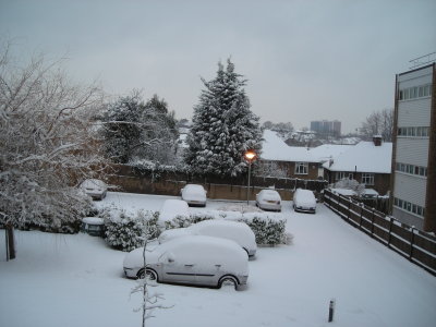 Feb 2009 snow at the backyard 2