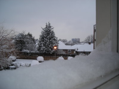 Feb 2009 snow at the backyard 3