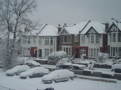 Feb 2009 snow at belmont hill 1