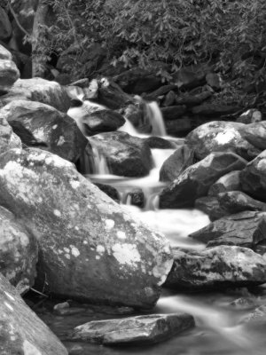 Rocks in Stream 2 BW 500x667.jpg