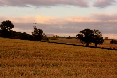 Counting the harvest.