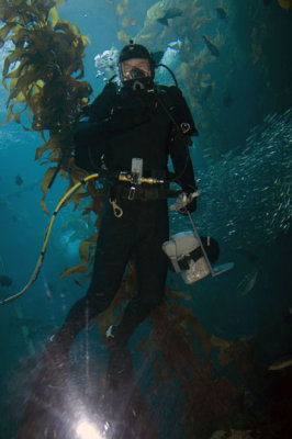 monterey_bay_aquarium