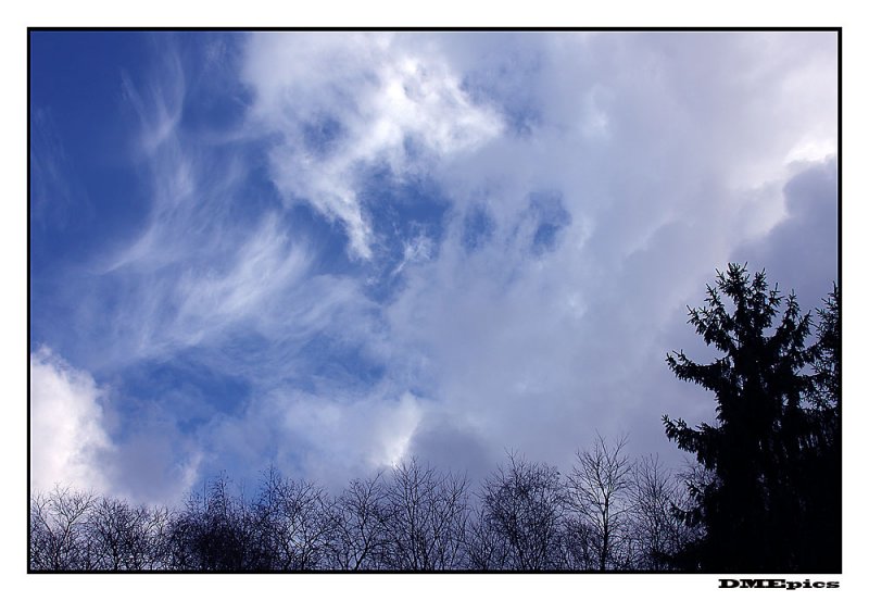 c_9203.jpg