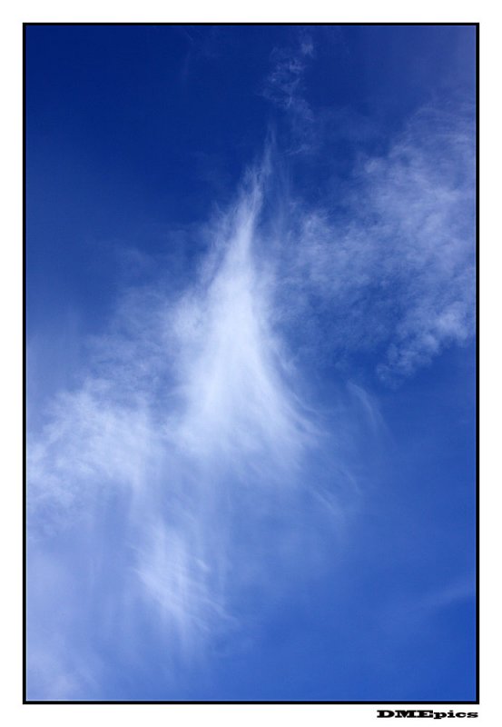 c_9215.jpg