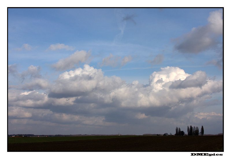 c_9246.jpg