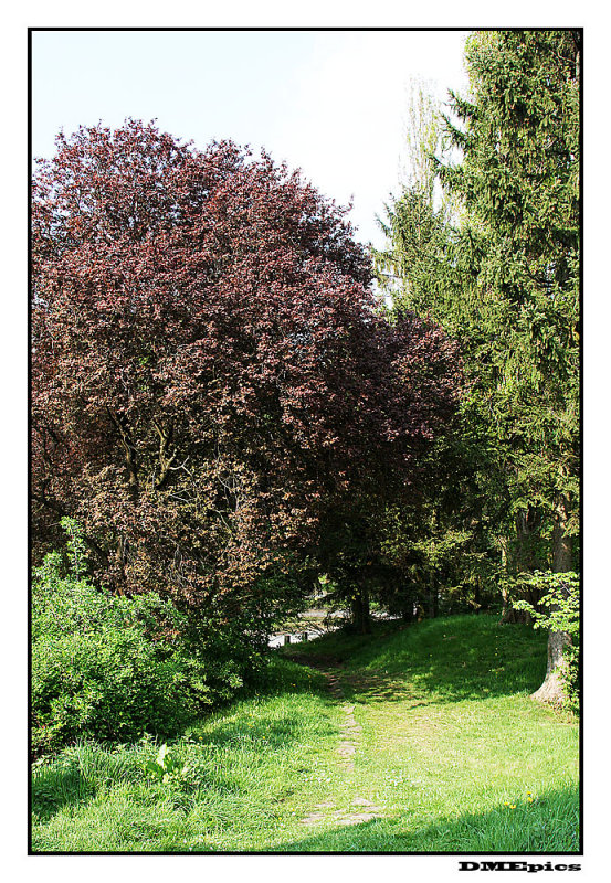 k_4014.jpg