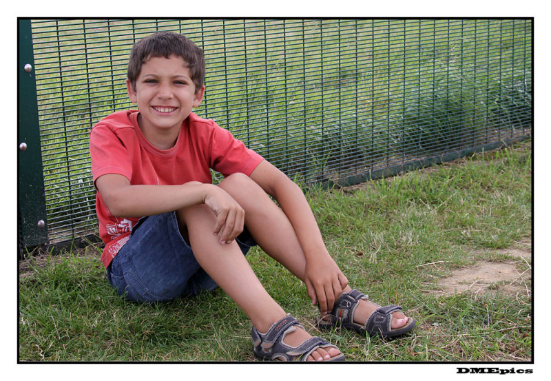 robin_1441.jpg