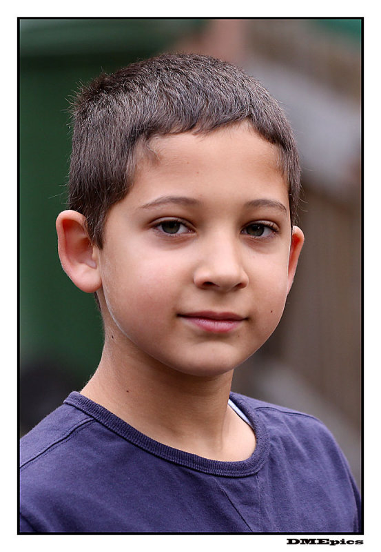 robin_4252.jpg
