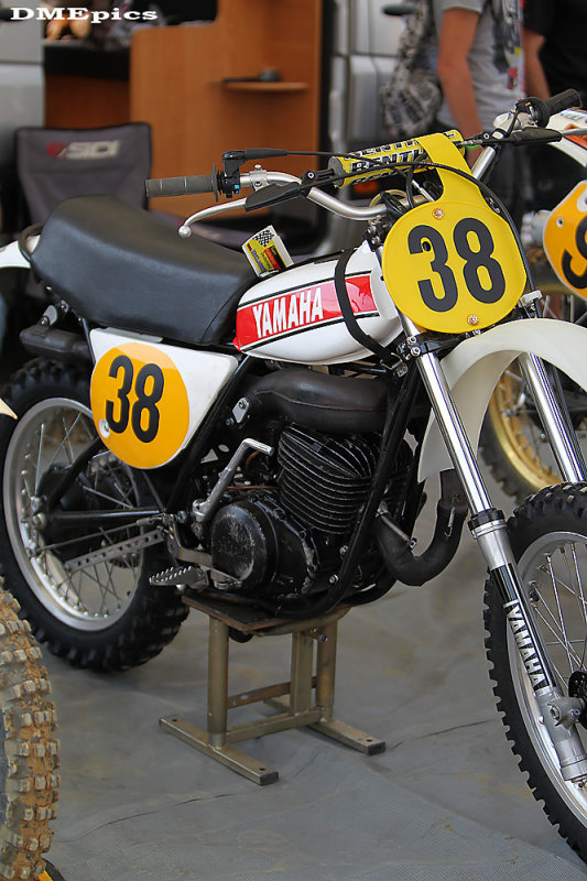 k9852.jpg
