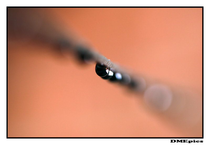 22 januari 2011.jpg
