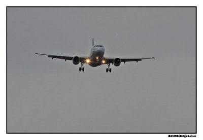 b_9503.jpg