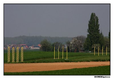 k_3960.jpg