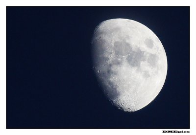moon_7181.jpg