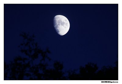 moon_7183.jpg