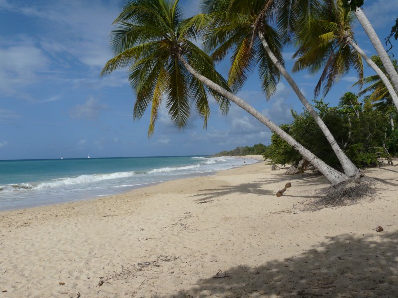 Plage des Salines