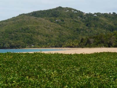 Plage Guadeloupe