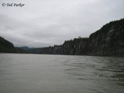 The Peel River (8)