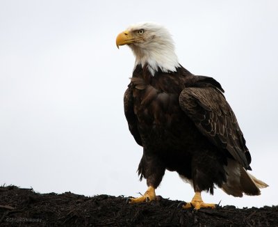 g1/78/893478/3/110814397.DpZXdFr4.jpg
