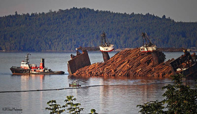 Dumping the Log Barge