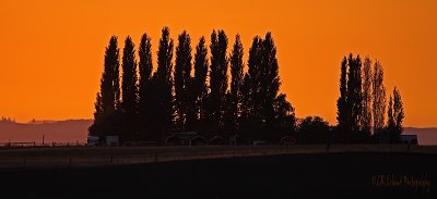 Sunset at the Ranch