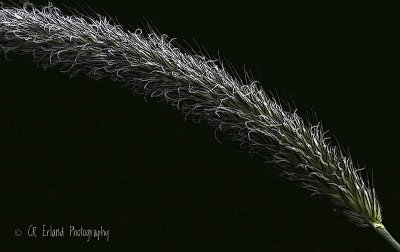 g1/78/893478/3/132175009.gpXb1Dfp.jpg