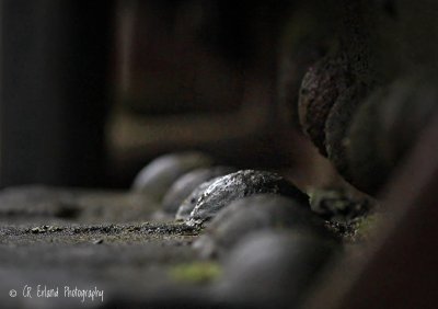 Bolt EndsWeekly Challenge #43: Plain