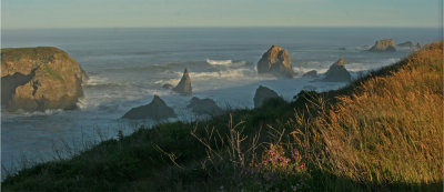 CALIFORNIA COAST