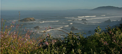 CALIFORNIA COAST