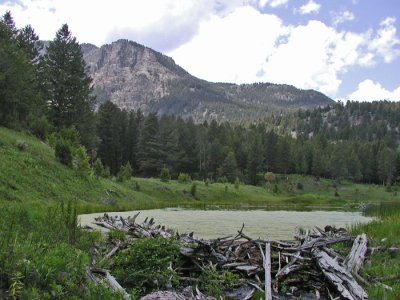BEAVER DAM
