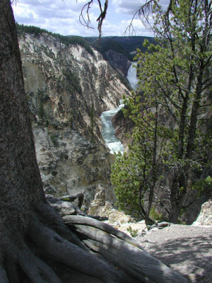 LOWER FALLS AND GORGE