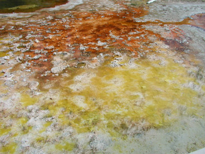 HOT SPRING POOL