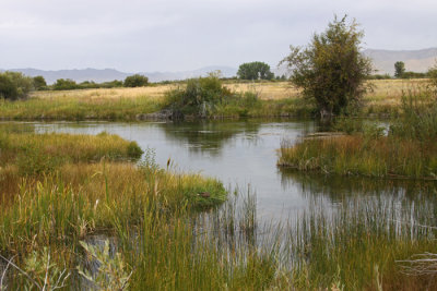SILVER CREEK: NATURE CONSERVANCY