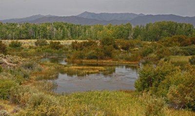 SILVER CREEK