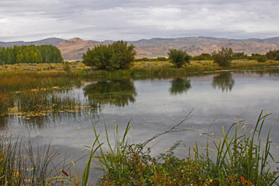 SILVER CREEK