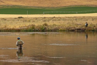 CATCH AND RELEASE IN SILVER CREEK